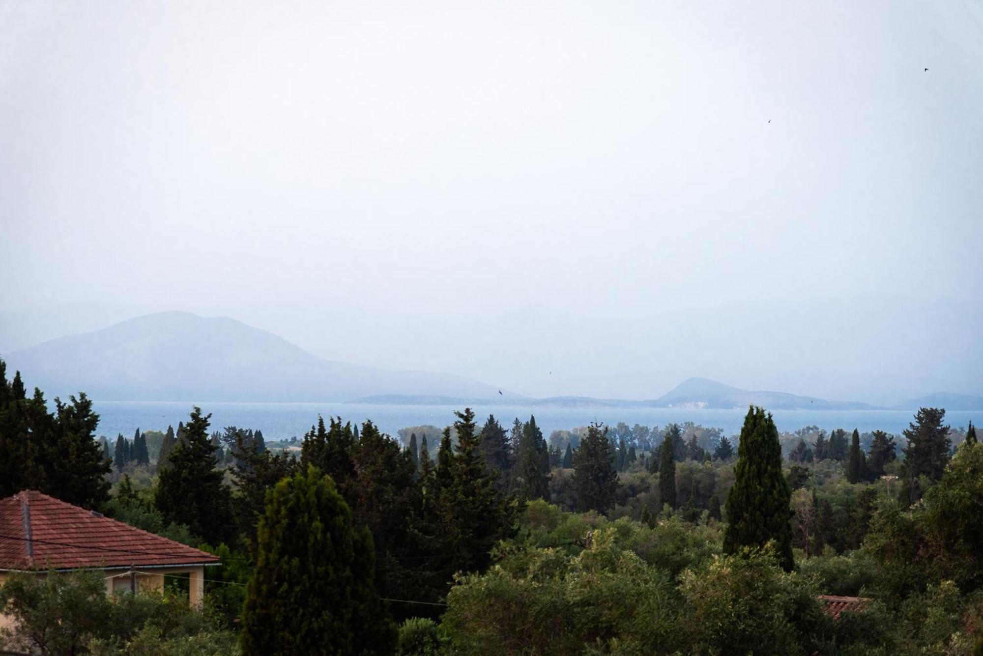 Liatiko House 公寓 Lefkimmi (Corfu)